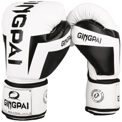 Pro Fight boxing gloves